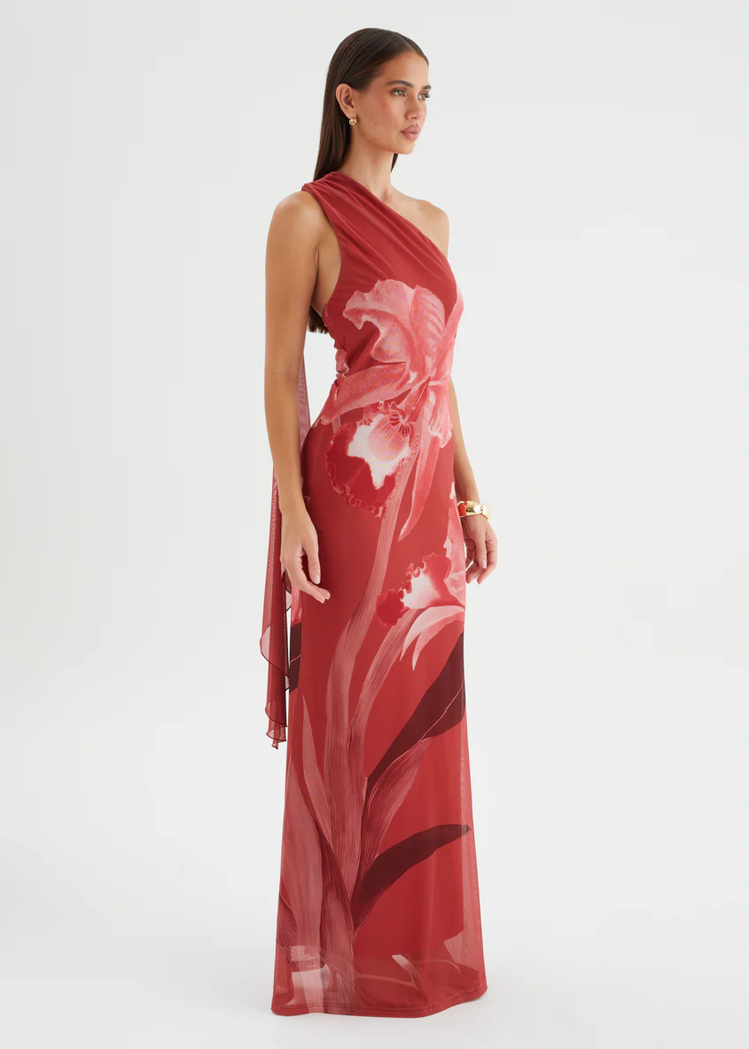 Anjy One Shoulder Mesh Maxi Dress - Strawberry Bloom - Image 6